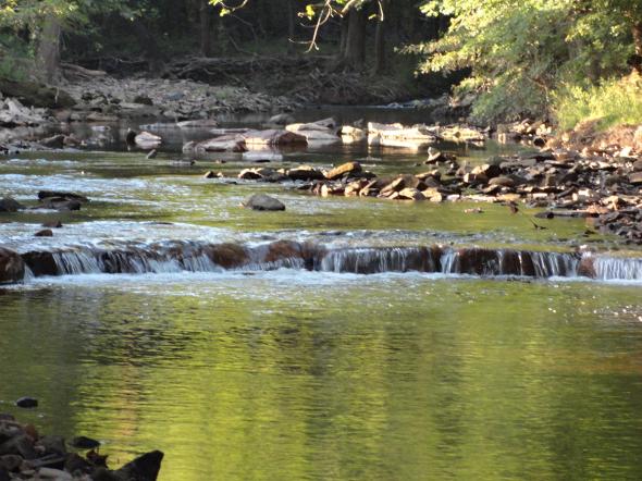 Stony Creek Anglers | www.stonycreekanglers.org | Norristown, PA